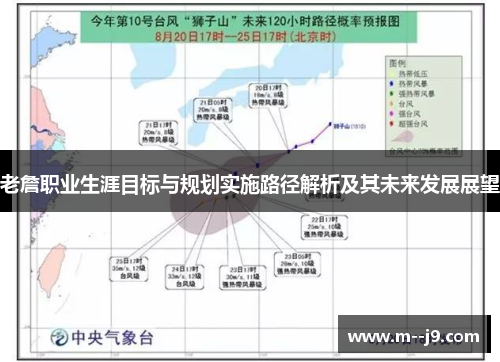 老詹职业生涯目标与规划实施路径解析及其未来发展展望