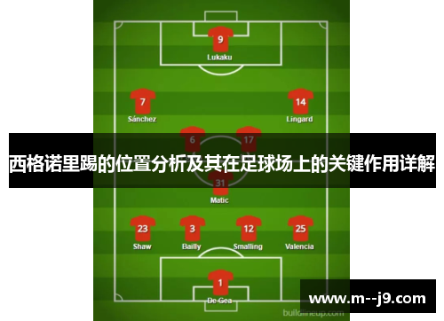 西格诺里踢的位置分析及其在足球场上的关键作用详解