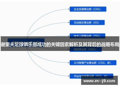 谢里夫足球俱乐部成功的关键因素解析及其背后的战略布局