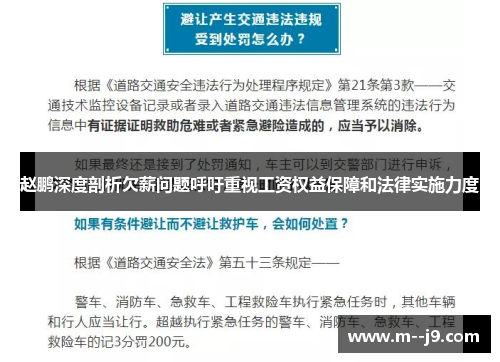 赵鹏深度剖析欠薪问题呼吁重视工资权益保障和法律实施力度