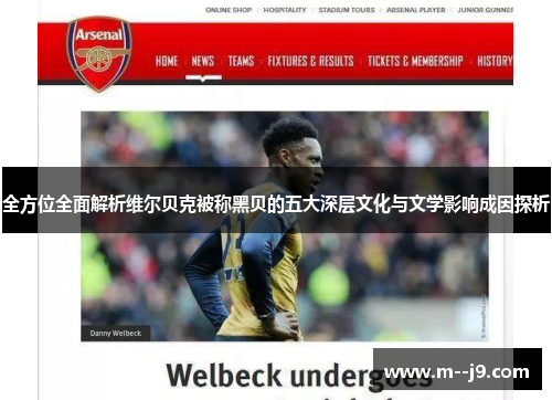 全方位全面解析维尔贝克被称黑贝的五大深层文化与文学影响成因探析