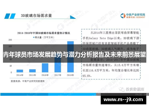 青年球员市场发展趋势与潜力分析报告及未来前景展望 青年球员市场发展趋势与潜力分析报告及未来前景展望