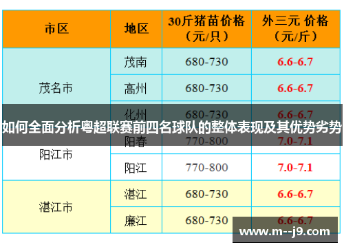如何全面分析粤超联赛前四名球队的整体表现及其优势劣势