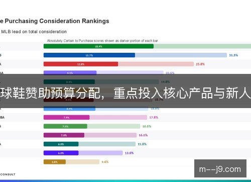 球鞋赞助预算分配,重点投入核心产品与新人 球鞋赞助预算分配,重点投入核心产品与新人